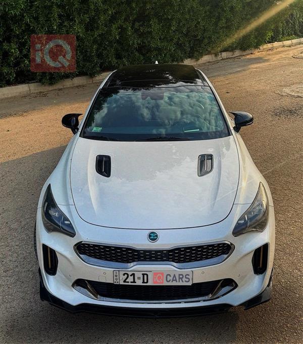 Kia Stinger 2019 for sale in Iraq - Baghdad